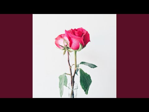 Hadey Laabtu Ka Jedo