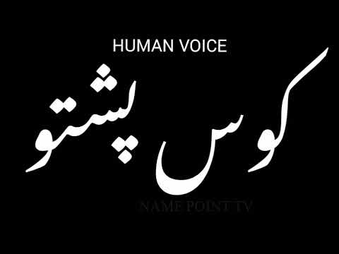 How To Pronounce کوس پشتو Pronunciation کوس پشتو How To Say کوس پشتو