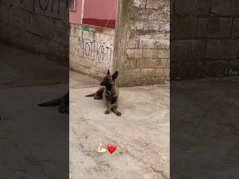 طلع تسنت سير تريني اكسبلور Viral Viralvideo Funny Trending Love Comedy طلع تسنت سير تريني اكسبلور Viral Viralvideo Funny Trending Love Comedy