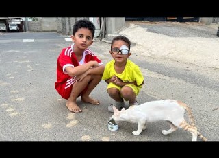لماذا أختبأت القطه هنا