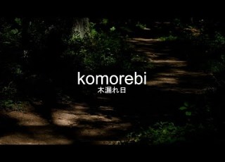 When You Notice The Sunlight Streaming Through The Trees 1 Hour Nature Ambience