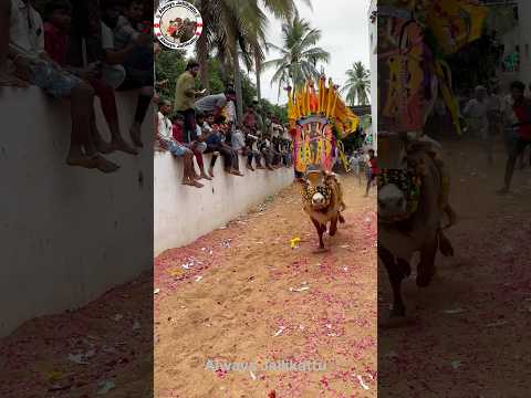 Jallikattu Tpd Telugudas Chandrababusongs Dj Telugu Song Music Remix Chandrababusong Tdp