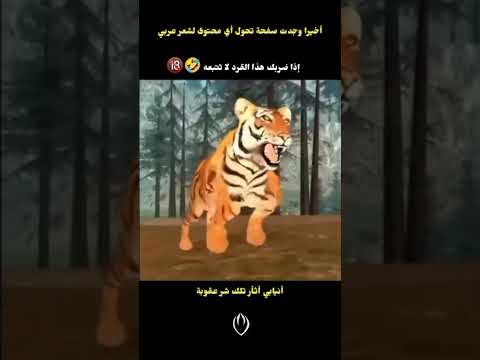 النمر و الاسد و القرد نمر أسد اغاني اطفال