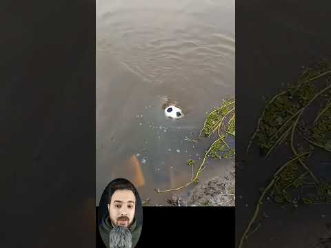 The Whirlpool In The Sea