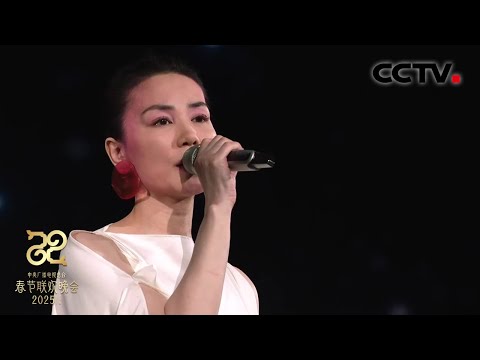 王菲时隔七年再登春晚 新歌 世界赠予我的 太好听了 2025央视春晚 CCTV春晚 王菲时隔七年再登春晚 新歌 世界赠予我的 太好听了 2025央视春晚 CCTV春晚