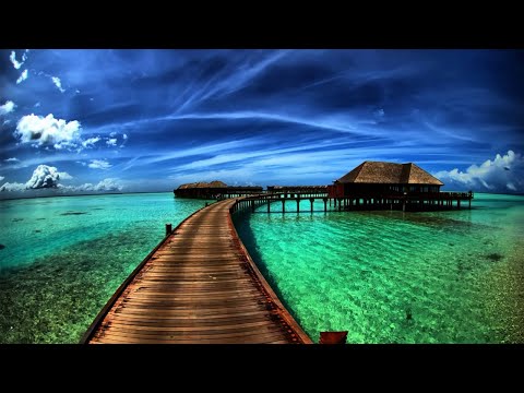 4 Hours Peaceful Relaxing Instrumental Music Long Playlist