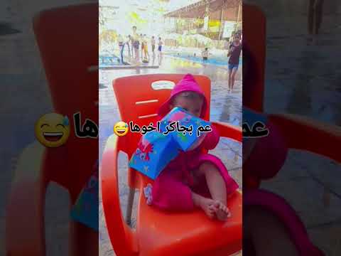 بوس الواوا اخر همي شو ما يقولوا غلط ولا صح هيفاء وهبي ترند جديد زيد وفاديه