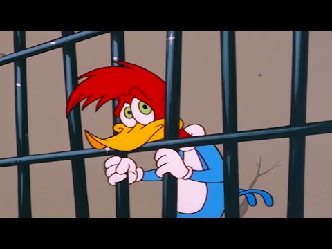Woody Gets Sent To Jail Woody Woodpecker Woody Gets Sent To Jail Woody Woodpecker