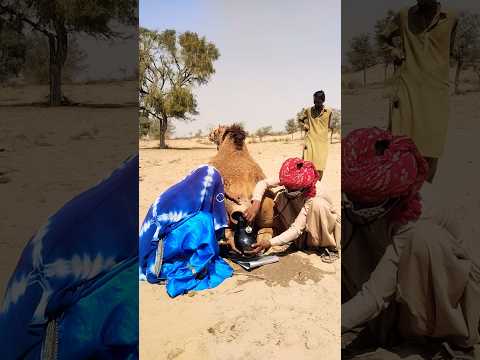 م حاو ل ة ٱم ر أ ة ف ح ص ن اق ت ه ا ب و ص ف ة ش ع ب ي ة م ع ت ب ر يد ه ا