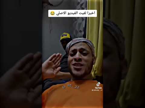 سيبو سيبو سيبو يا حامد