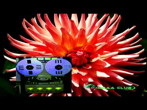 Oromo Music Mohammed Tawil Aadiyee Khiyya Garaan Booye 1 Audio Only