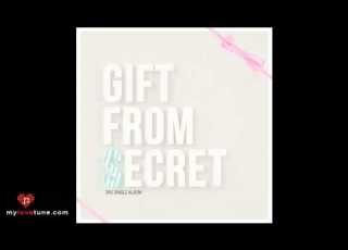  SECRET 시크릿 Fantastic Gift From Secret MP3 DL