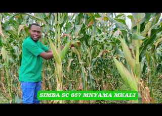 Tazama Simba SC 657 Ilivyofanya Maajabu