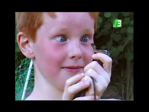 MBC3 PROSO MARCH 2006 THE REALLY WILD SHOW THE REMEMBER 2000S