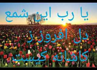 یارب این شمع دل افروز ز کاشانه کیست