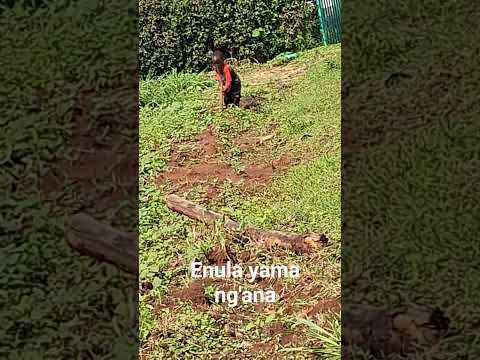 Enula Yama Ng Ana Charity Begins At Home Farming