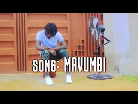 Nyanda Manyilezu Song Hayawezi Mavumbi 360 X 640