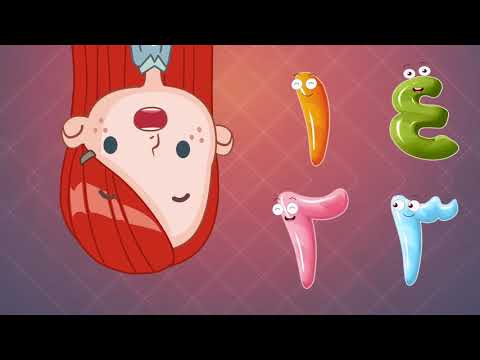 أنشودة الأرقام بدون موسيقى أغنية الأعداد بدون ايقاع باللغة العربية للأطفال أنشودة الأرقام بدون موسيقى أغنية الأعداد بدون ايقاع باللغة العربية للأطفال