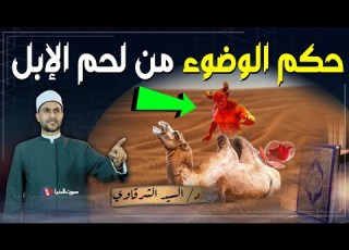 لماذا لحم الإبل ينقض الوضوء و لماذا أمرنا النبي بضرورة الوضوء بعد أكل لحمها