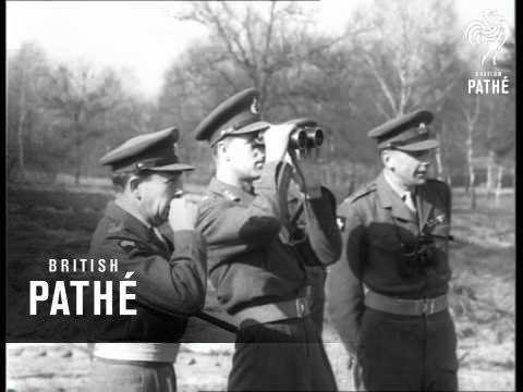 Herzog In Deutschland 1953