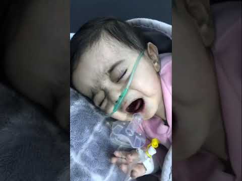 وفاه ابن علي الخفاجي الي يحبه يشترك بالقناه وفاه ابن علي الخفاجي الي يحبه يشترك بالقناه