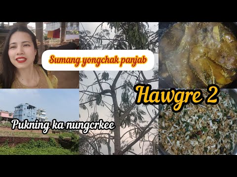 Matam Kuira Matungda Inma Hoi Chtluba Pukning Ka Nungcrkee Sumang Da Yongchak Pambi Panle