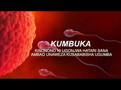 KISONONO GONORRHOEA DALILI NA MADHARA YAKE KISONONO GONORRHOEA DALILI NA MADHARA YAKE