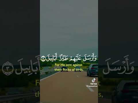 أ ل م ت ر ك ي ف ف ع ل ر ب ك ب أ ص ح اب ال ف يل 1