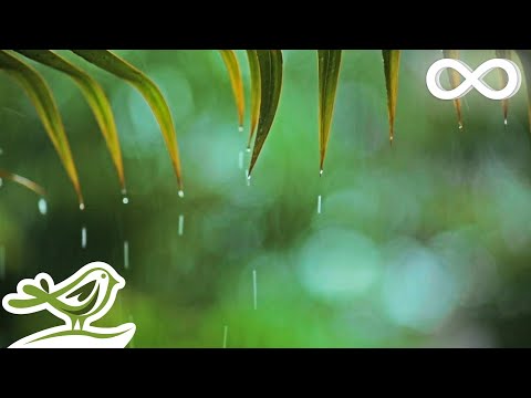 You Me Relaxing Piano Music Soft Rain Sounds For Sleep Relaxation By Peder B Helland