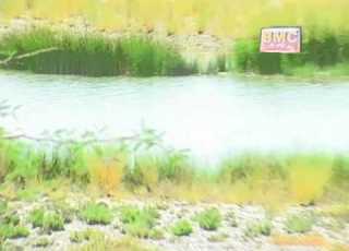  Cho E Saby Shah Jaan Dawoodi Vol 7 Balochi Song Balochi World