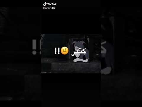 سألت نفسي كتير هو انا متحبتش حالات واتس 2021 سألت نفسي كتير هو انا متحبتش حالات واتس 2021