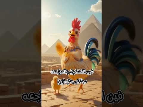 I Have An Exam Tomorrow And I Haven T Studied Anything