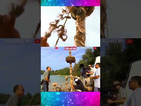 Shorts Alvin And The Chipmunks Behind The Scenes Shorts Alvin And The Chipmunks Behind The Scenes