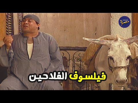 اذكى فلاح في البلد بقى عمده وهتنصدم من ذكاءه في حل مشاكل الفلاحين مواقف ساخرة