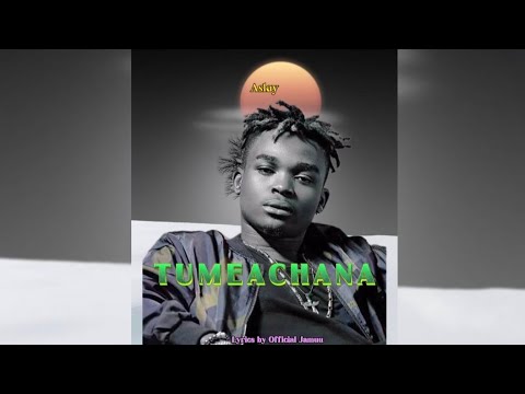 Tumeachana Aslay Ft Hanstone Official Lyrics Video