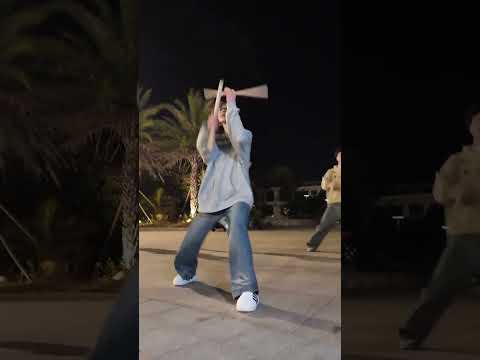 Mastering The Art Of Chao Shan Yingge A Training Journey