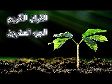 القرآن الكريم الجزء العشرون القارئ معتز آقائي مع الآيات للتتبع القرآن الكريم الجزء العشرون القارئ معتز آقائي مع الآيات للتتبع