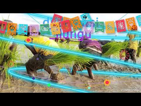 Photo Dj Damasi Ilungu