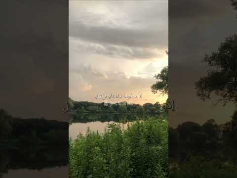 لها مقلة لو انها نظرة بها