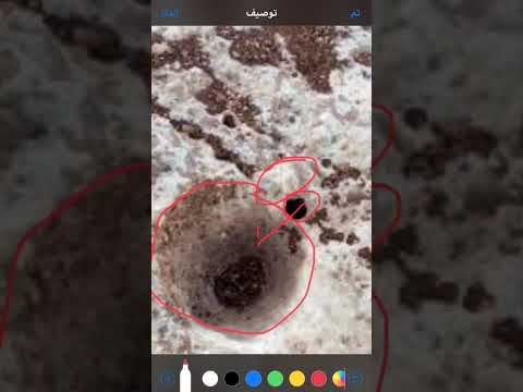 البصمة التي تأتي في حدود فم الجرن تدل على المدخل الدفائن الإشارات الكنوز الجرة الرموز تحليل