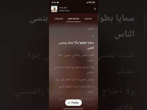 اجمل فرحه موسيقى فقطط