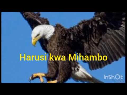 Mwana Eliza Wimbo Harusi Kwa Mihambo 0696398183