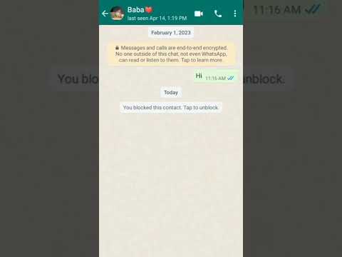 Best Way To Unblock Yourself On WhatsApp In 2023 Whatsapp MTTD
