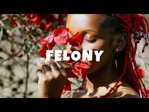 FREE FELONY Afrobeat Instrumental 2026 X Burnaboy X Omah Lay X Emotional Afrobeat Type Beat