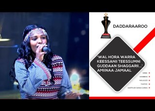 Amiinaa Jamaal Wal Hora Warra Keessanii Teessumni Guddaan Shaggarii Baabura Yaabbadheen Dhufaa