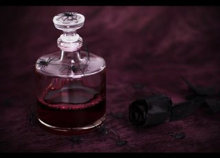 Blood Princess