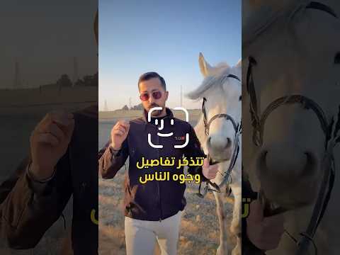 Five Things You Didn T Know About Horses Five Things You Didn T Know About Horses