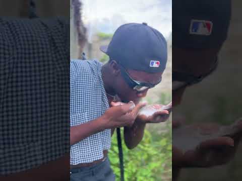 The Student And His Friend Nearly Beat His Father