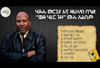 Hailu Mergia And Dahlak Band 1980 Wede Harer Guzo Instrumental Album ሃይሉ መርጊያ እና ዳህላክ ባንድ አልበም 