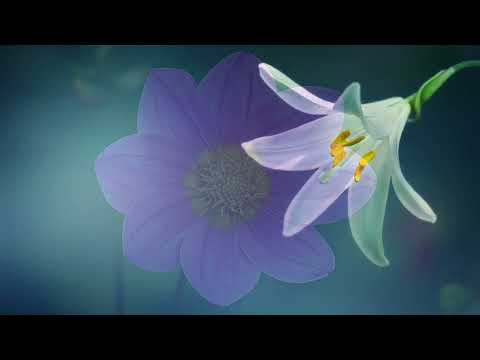 اهات اسلامية للمونتاج بجودة عالية 2021 ضع السماعة وأرح سمعك